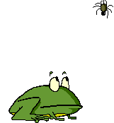 frog
